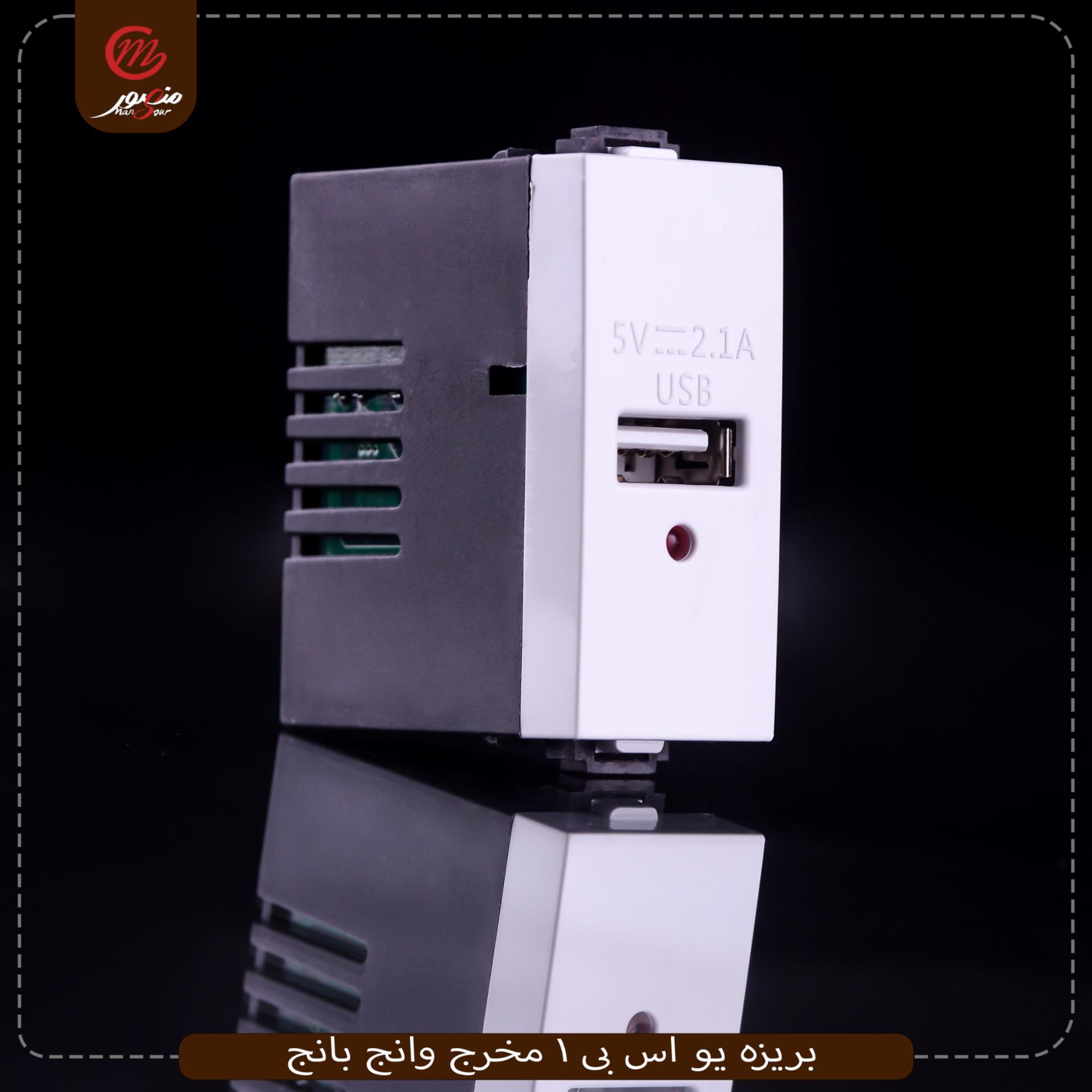 بريزه يو اس بى 1 مخرج وانج بانج – الصورة 5