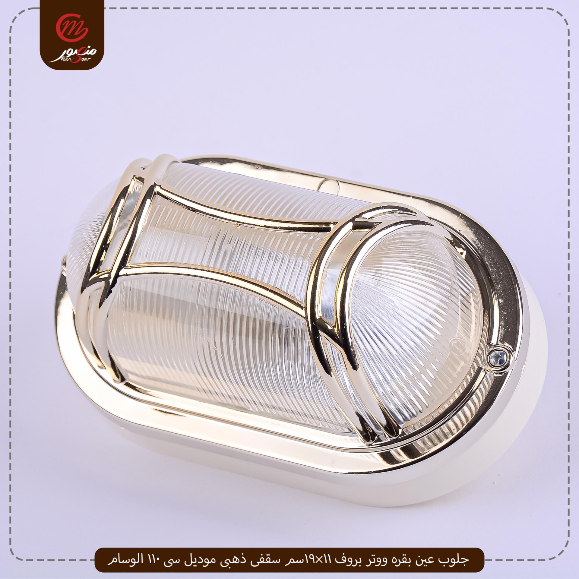 جلوب-عين-بقره-ووتر-بروف-11×19سم-سقفى-ذهبى-موديل-سى-110-الوسام