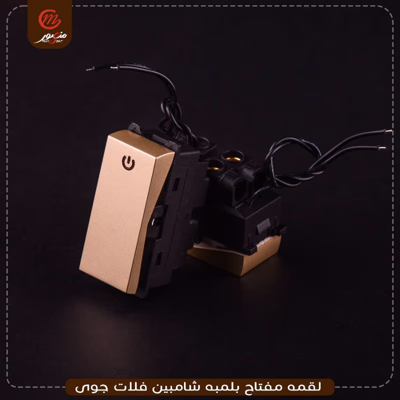 صورة المنتج لقمه مفتاح بلمبه شامبين فلات جوى عبوه 540 ( 18 × 30 )0
