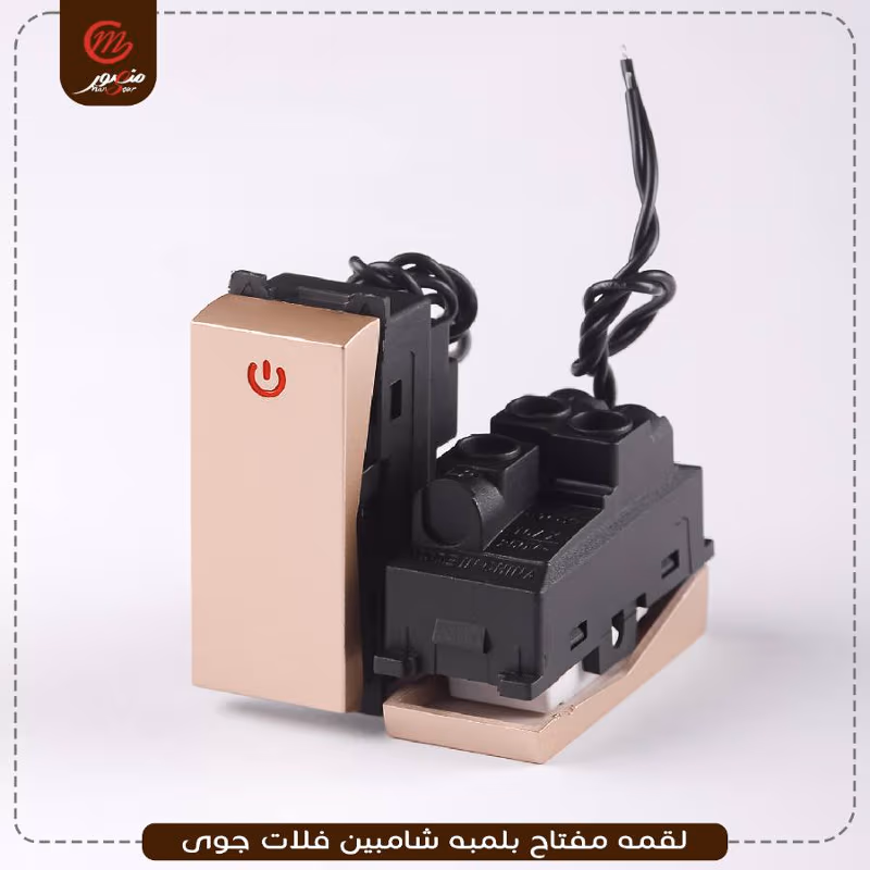 صورة المنتج لقمه مفتاح بلمبه شامبين فلات جوى عبوه 540 ( 18 × 30 )0