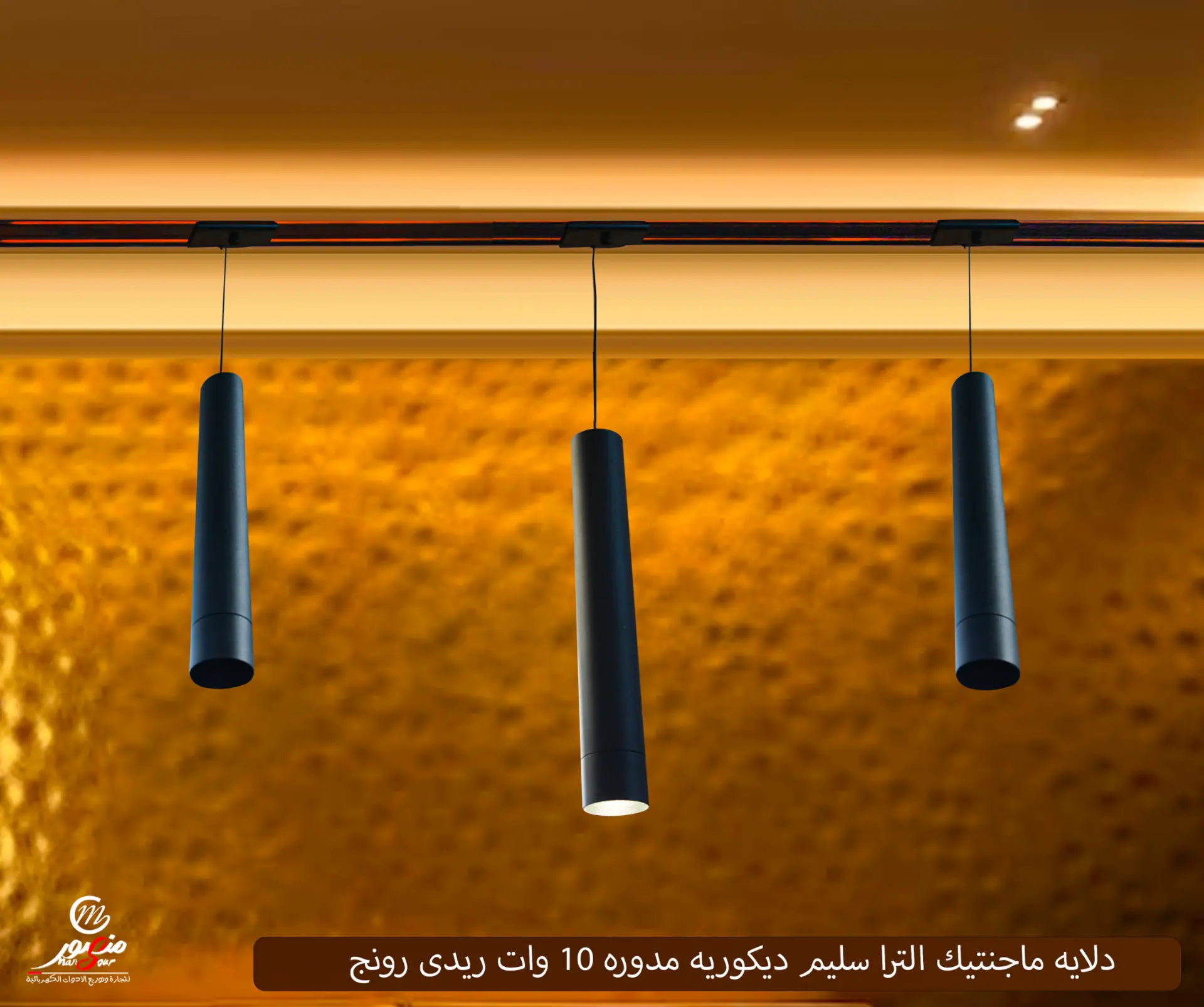 دلايه ماجنتيك الترا سليم ديكوريه مدوره 10 وات ريدى رونج – الصورة 2