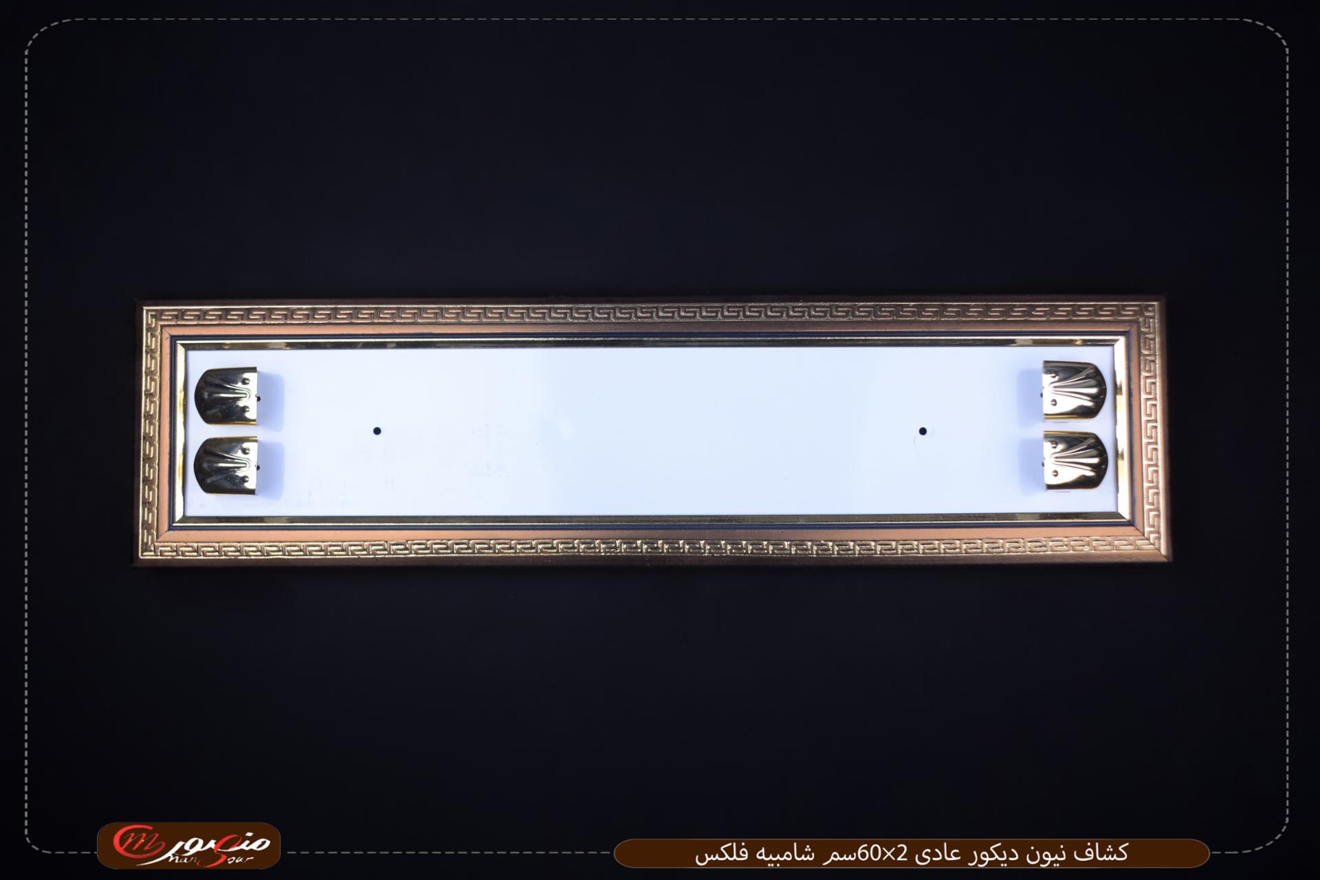 صورة كشاف-نيون-ديكور-عادى-2×60سم-شامبيه-فلكس